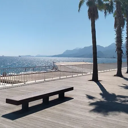 Lägenhetshotell Vega